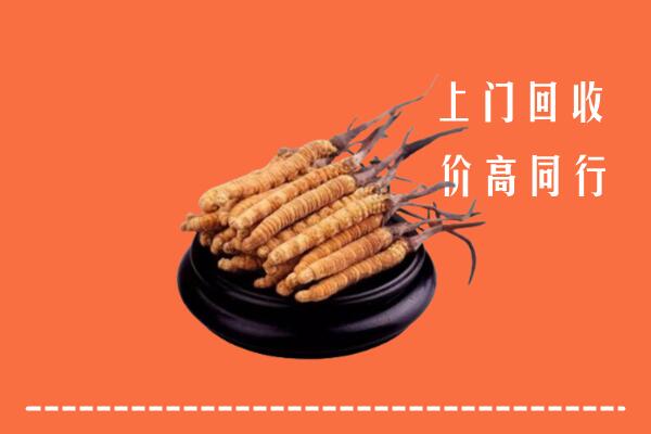 高价求购：常熟市回收散虫草