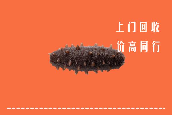 高价求购：常熟市回收海参