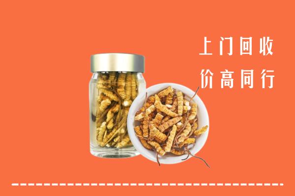 常熟市回收冬虫夏草